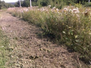 обработка земель для посева1