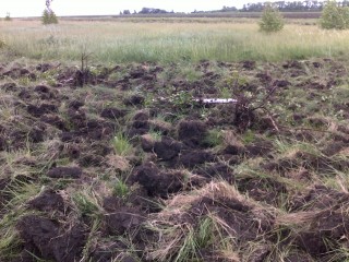 обработка земель для посева2