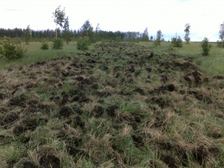 обработка земель для посева3