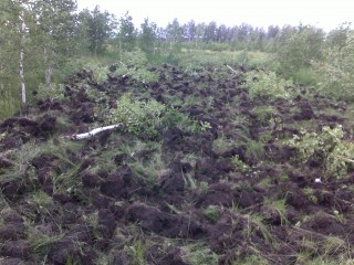 обработка земель для посева4