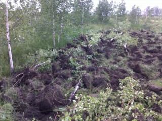 обработка земель для посева5