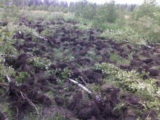 обработка земель для посева6