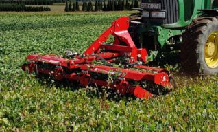 aprító henger zöldtrágyában